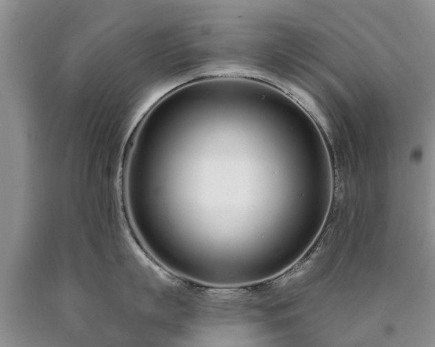 X0000090610863200707241105