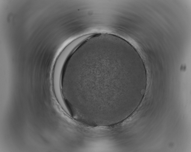 X0000090610864200707241105