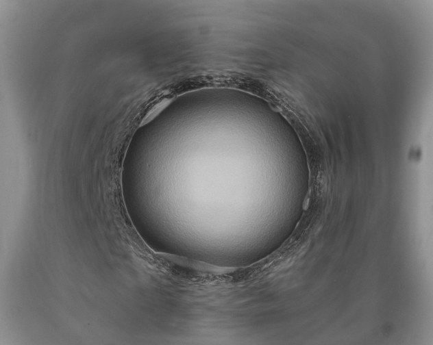 X0000090610865200707241104