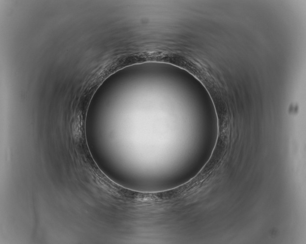 X0000090610866200707241104