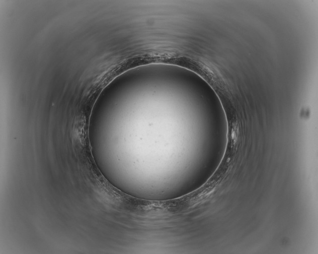 X0000090610867200707241104