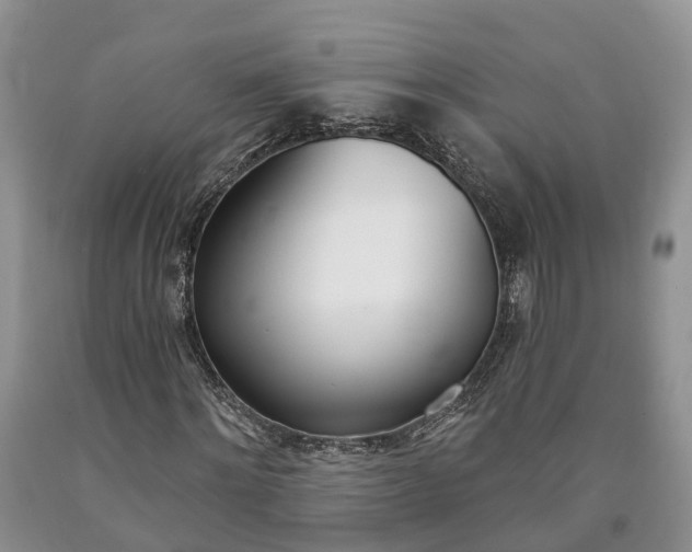 X0000090610868200707241104