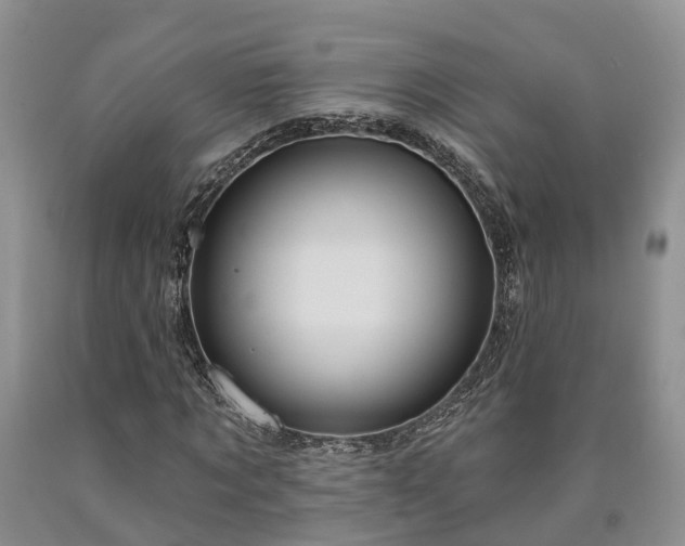 X0000090610869200707241104