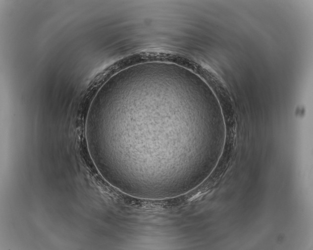 X0000090610870200707241104