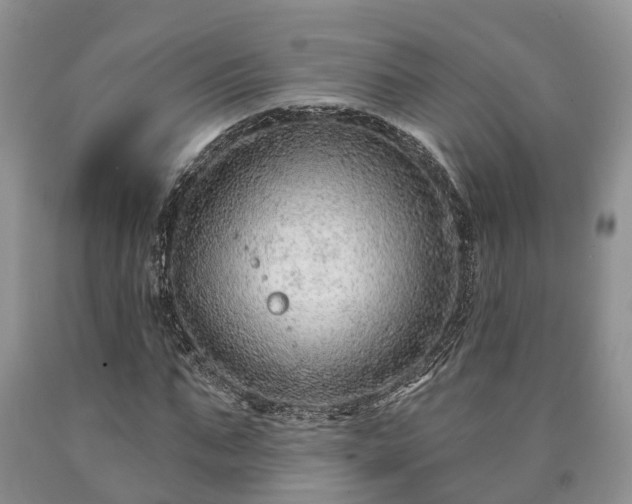 X0000090610871200707241104