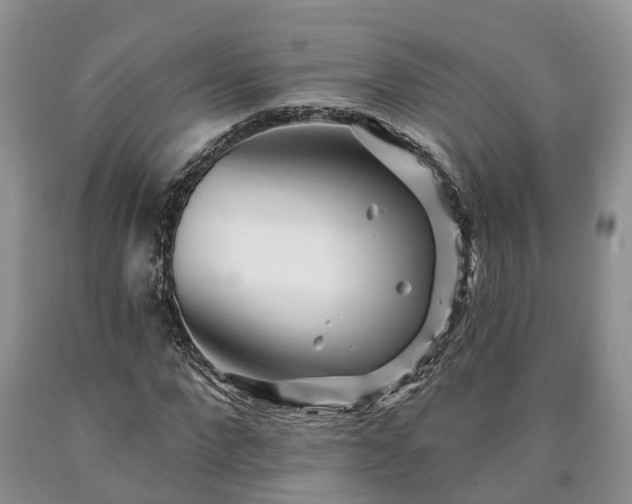 X0000090610872200707241104