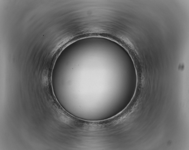 X0000090610873200707241104