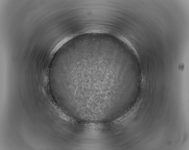 X0000090610874200707241104