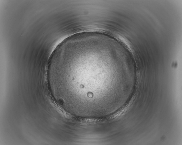 X0000090610875200707241104