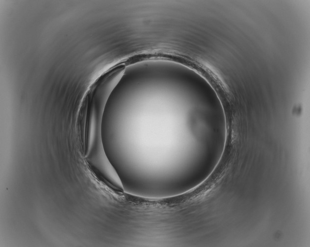 X0000090610876200707241104