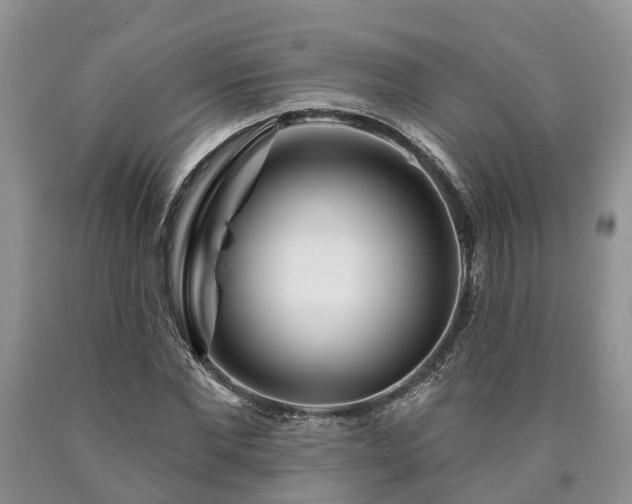 X0000090610877200707241104