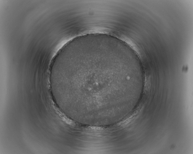 X0000090610878200707241104