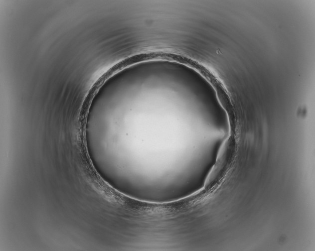 X0000090610879200707241104