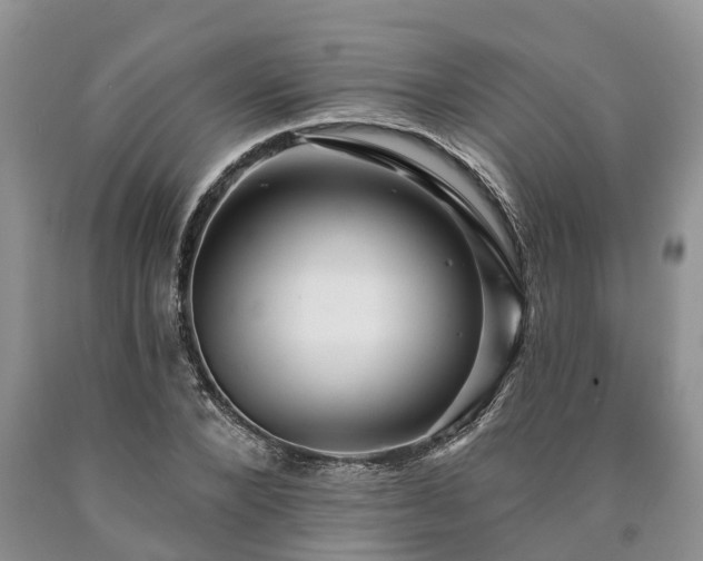 X0000090610880200707241104