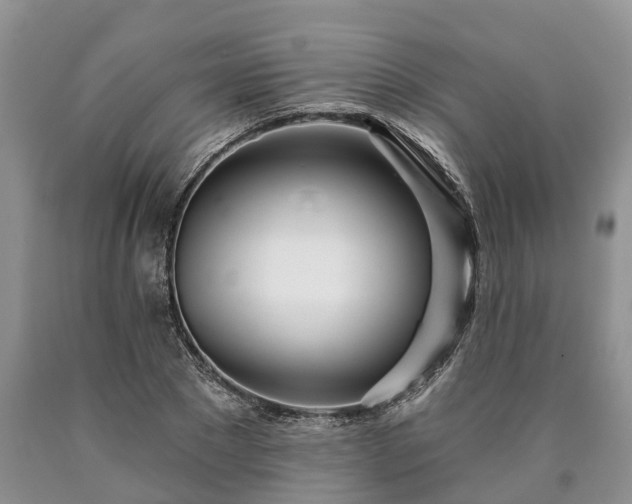 X0000090610881200707241104