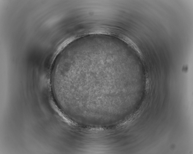 X0000090610882200707241104