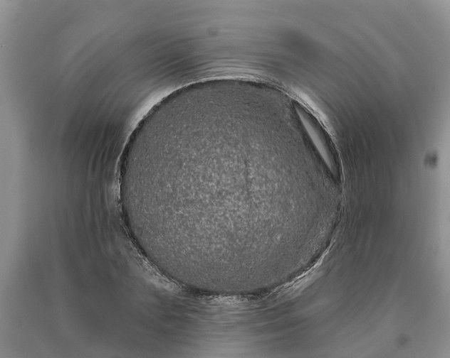 X0000090610883200707241104