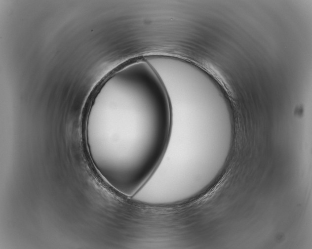 X0000090610884200707241104