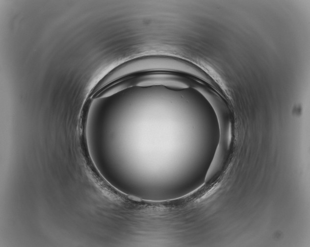 X0000090610885200707241104