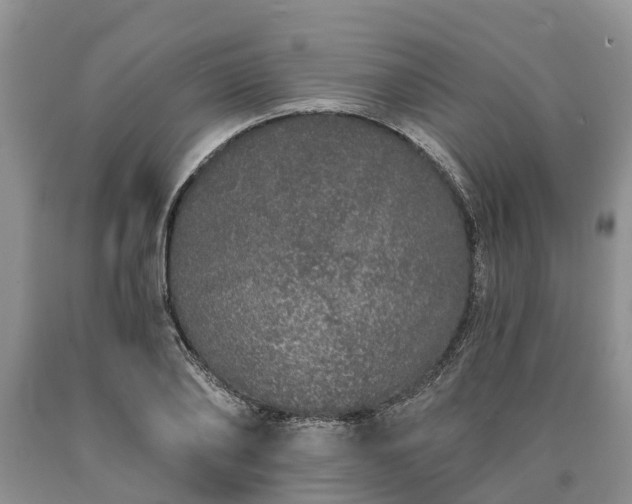 X0000090610886200707241104