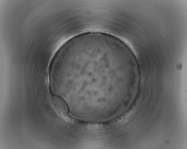 X0000090610887200707241104