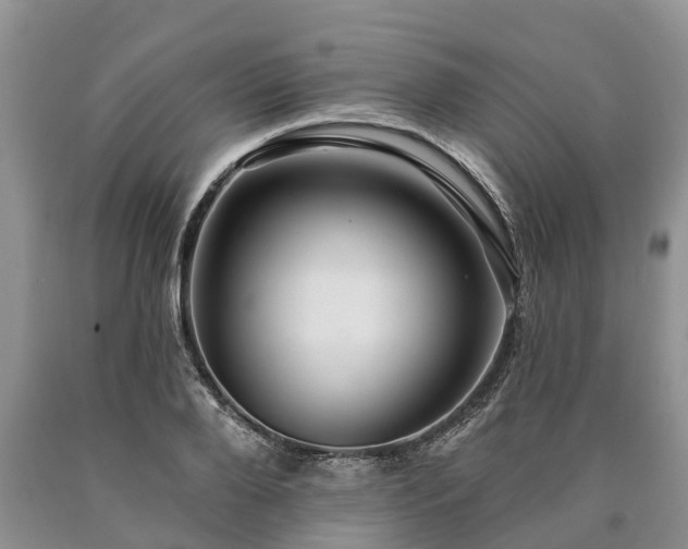 X0000090610888200707241104