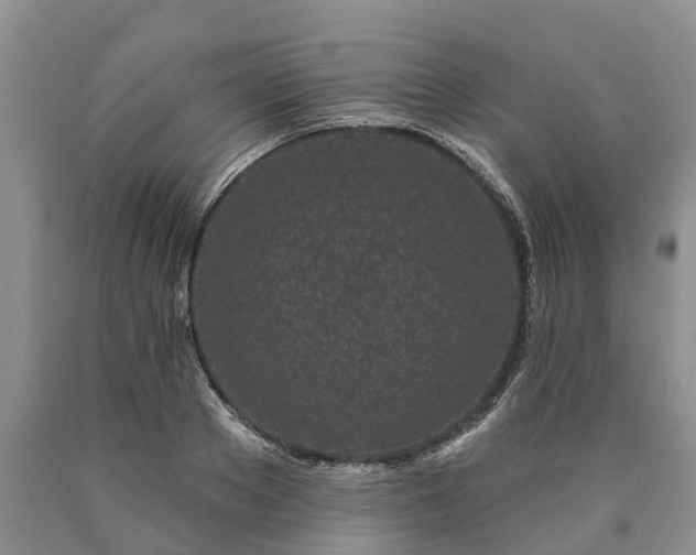 X0000090610889200707241104