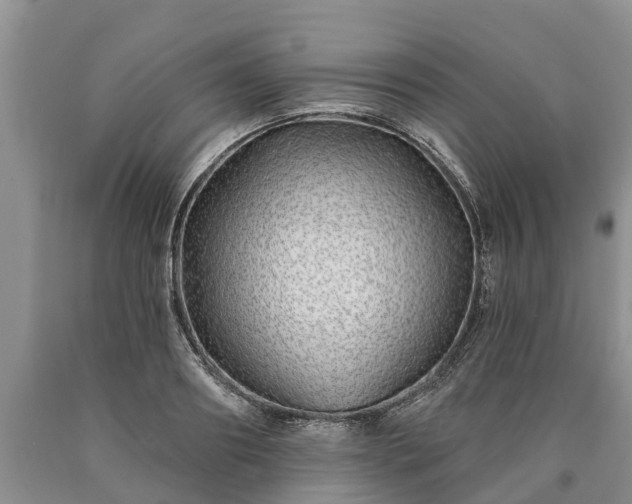 X0000090610890200707241104