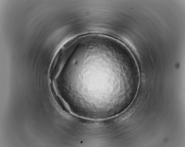 X0000090610891200707241104