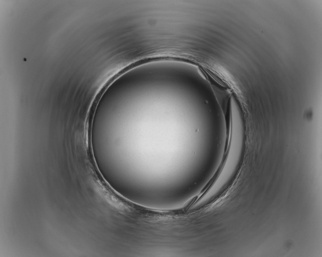 X0000090610892200707241104