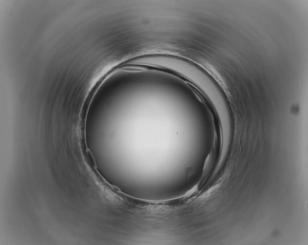 X0000090610893200707241104