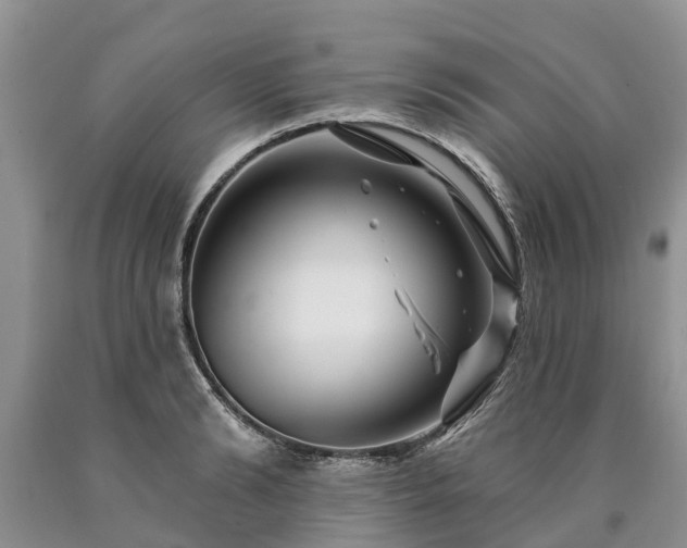 X0000090610894200707241104