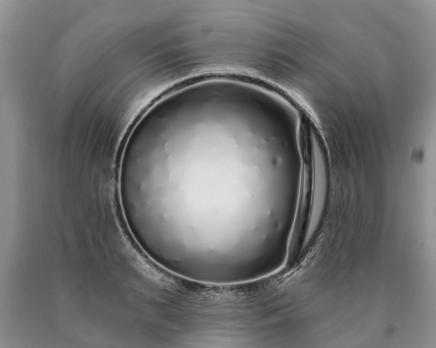 X0000090610895200707241104