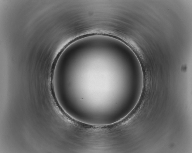 X0000090610896200707241104