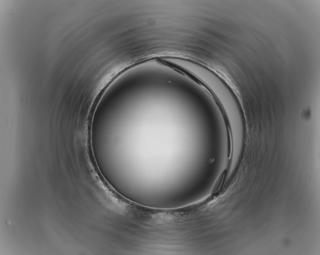 X0000090610898200707241104