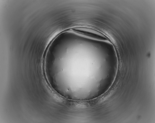 X0000090610899200707241104