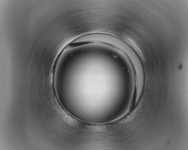 X0000090610900200707241104