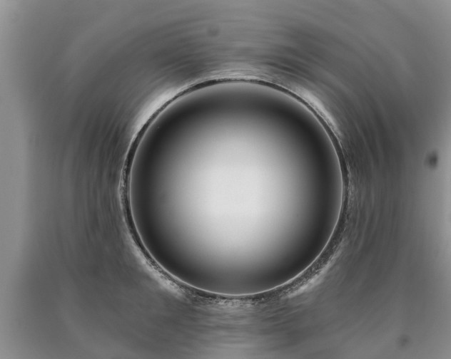 X0000090610901200707241104