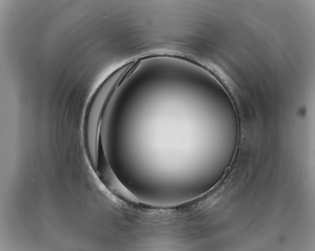 X0000090610902200707241104