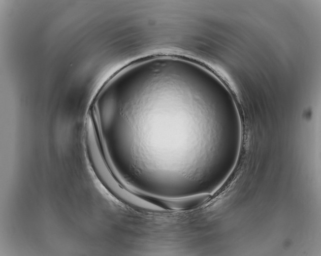 X0000090610903200707241104