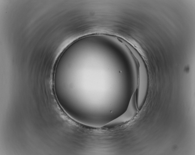 X0000090610904200707241104