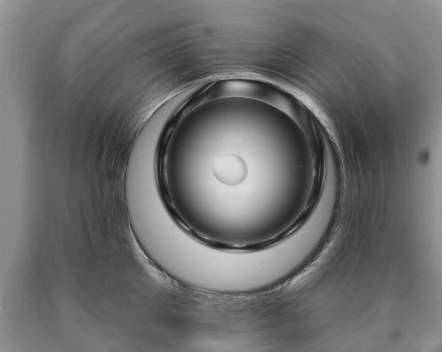 X0000090610905200707241104