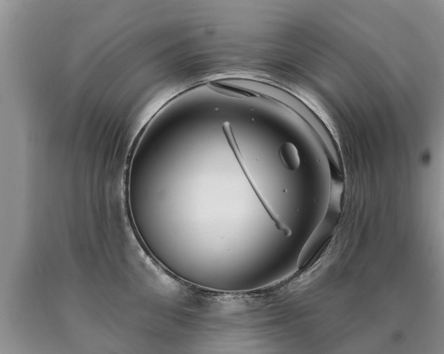 X0000090610906200707241104