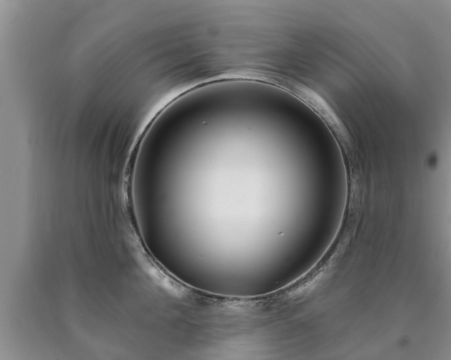 X0000090610908200707241104