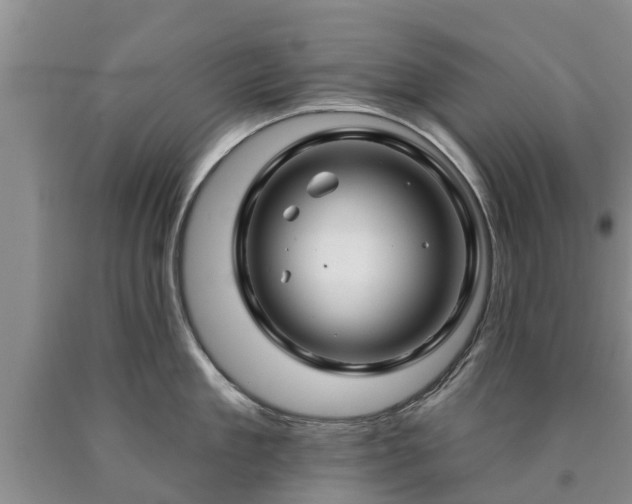 X0000090610909200707241104