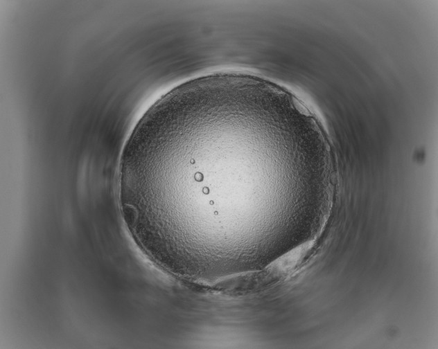 X0000090610911200707241104