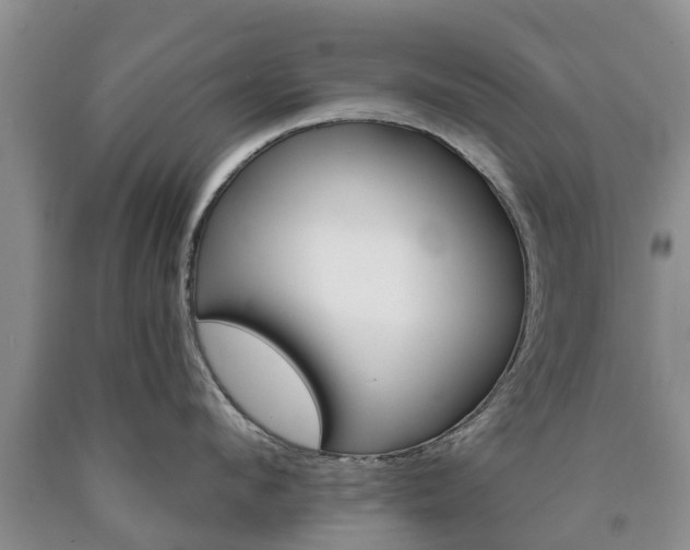 X0000090610912200707241104