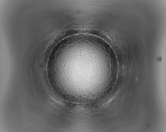 X0000090610913200707241103