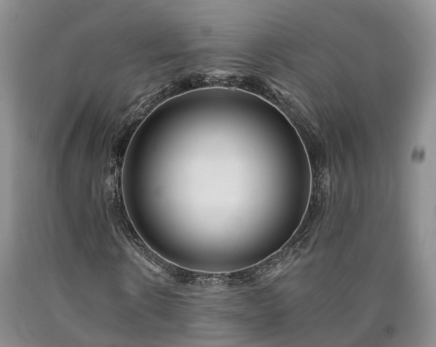 X0000090610914200707241103