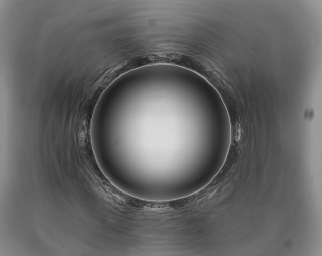 X0000090610915200707241103